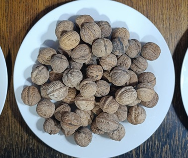 Грецкие орехи-Чатын