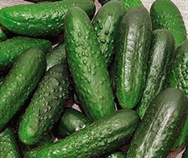 Огурец Ракета