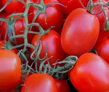 Помидор Рио Гранд