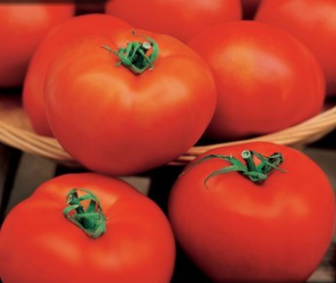 Помидор Сали