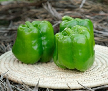 Сладкий перец Фрей