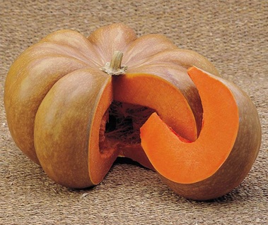 Тыква Хивер де Прованс