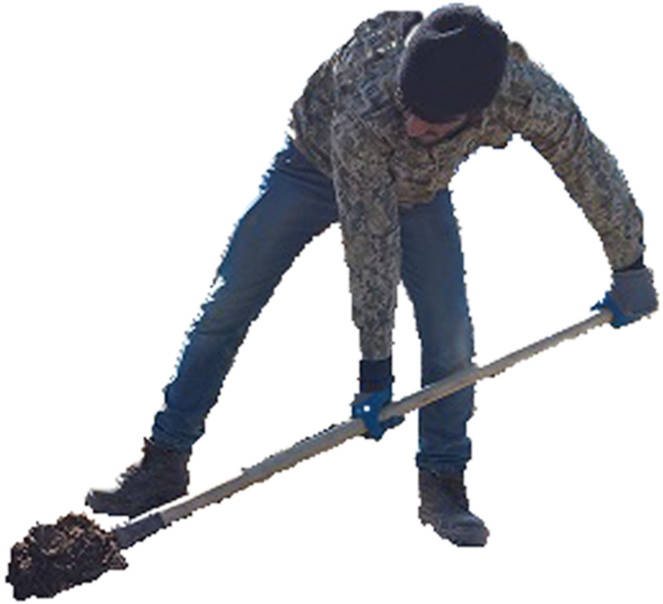 Фото для Вопросов