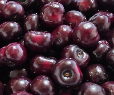 Черешня сорта Дурна